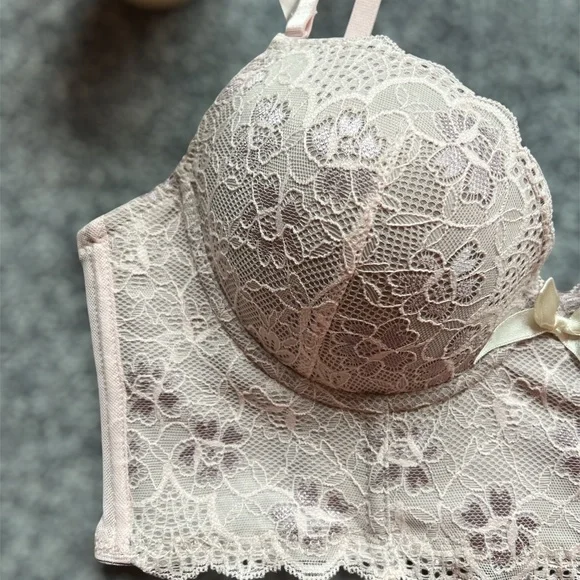 ***Final Drop*** NWT Sophie B Pink Lace over Gray Longline Bra 34C - Picture 2 of 13